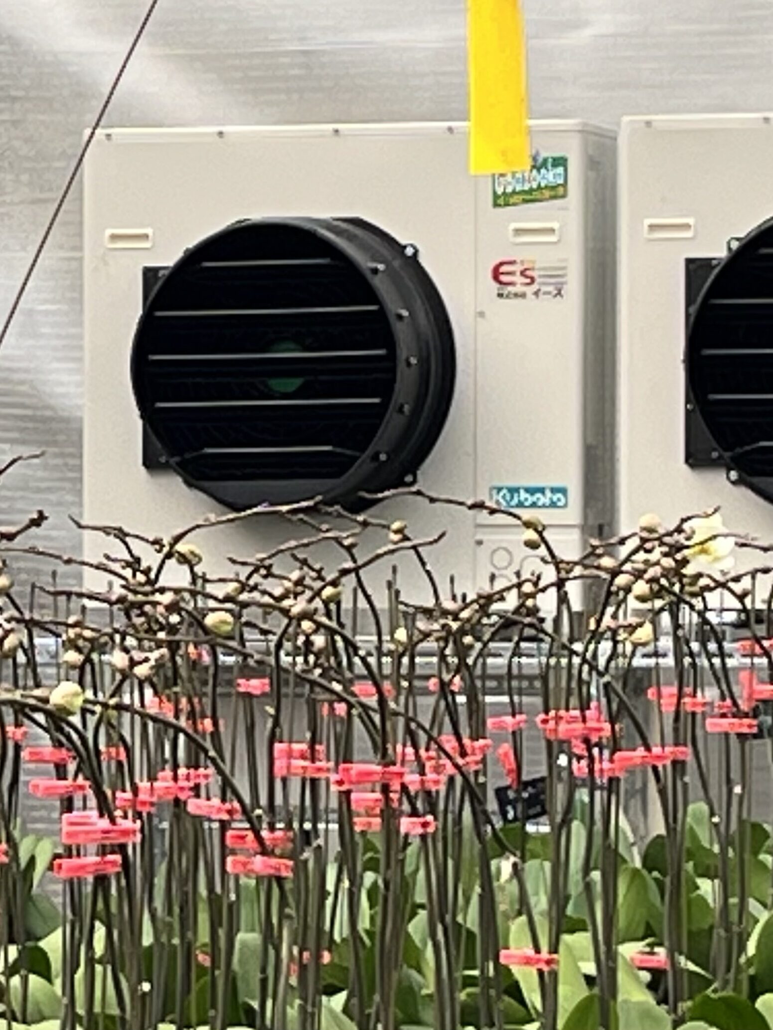 FE04C4C3-BE0D-4D1C-9D66-95620DE2F61E